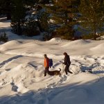 Il bivio della variante